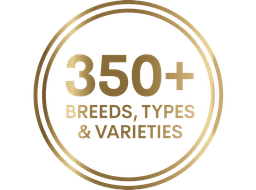 Lab Turnaround Guarantee