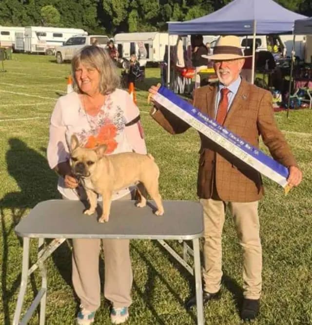Breeder using the Orivet application on a laptop